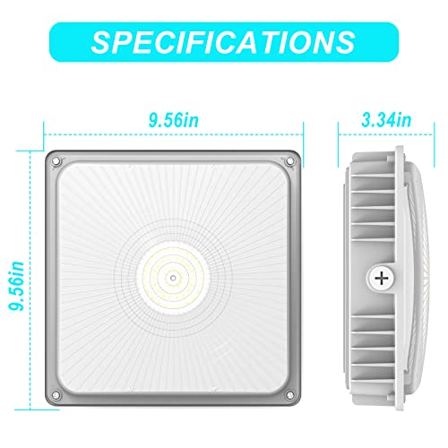 LED 75W Canopy Light Outdoor, Super Bright 5000K Daylight 9750LM IP65 Waterproof Outdoor Carport Ceiling Light, AC100-277V for Commercial Canopy Lights, Gas Station, Garage, Shop Lighting(1 Pack)
