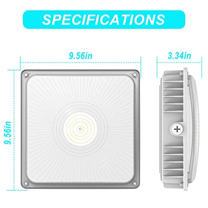 LED 75W Canopy Light Outdoor, Super Bright 5000K Daylight 9750LM IP65 Waterproof Outdoor Carport Ceiling Light, AC100-277V for Commercial Canopy Lights, Gas Station, Garage, Shop Lighting(1 Pack)