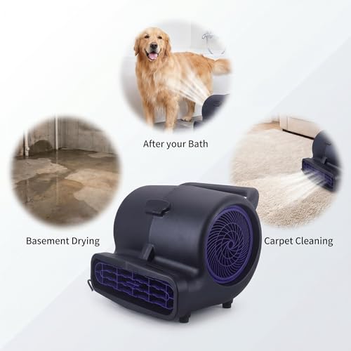 1/2 HP Air Mover Floor Blower Fan, 6000 CFM Carpet Dryer with Copper Motor, 3 Speed Dial Control, Carry Handle, Wide Outlet, Multi Angle Ventilation for Basement Garage Workshop Jobsite