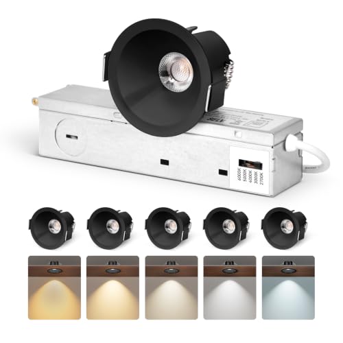 CycevSun Black 2 Inch Recessed Lights, Anti-Glare COB Spotlight, 6-Pack - color: Black, size: 2 Inch
