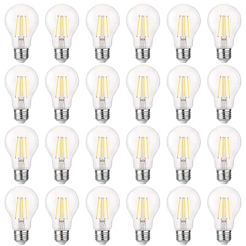 FLSNT A19 LED Light Bulb, 5000K Daylight, Clear Glass, 24 Pack - color: 60w Daylight, size: 24 Count (Pack of 1)
