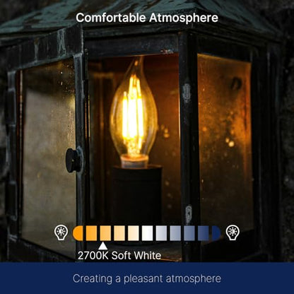 FLSNT 2700K Soft White LED Chandelier Edison Bulbs, 100W Equivalent, Dimmable CA11 E26 Base LED Candelabra Bulbs, 800LM, 6 Pack. - color: 100w Soft White, size: 6 Count (Pack of 1)