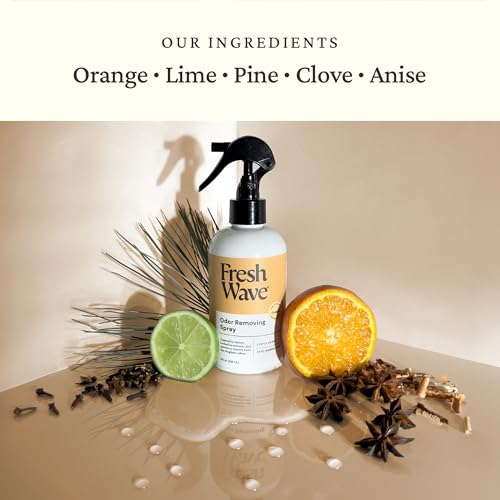 Fresh Wave Orange Room and Fabric Air Freshener Spray, 2-Pk, 8 oz - size: 8 Fl Oz (Pack of 2)