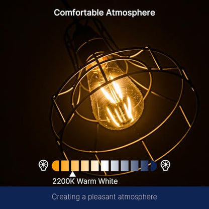 FLSNT 100W Equivalent LED Edison Bulbs, ST19 Dimmable Antique LED Light Bulbs, 2450K Warm White, 8W, 900LM, E26 Base, Amber Glass, 12 Pack - color: 100w 2450k Warm White, size: 12 Count (Pack of 1)
