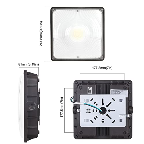 CINOTON 40W LED Canopy Lights UL Listed 5600LM 5000K Daylight 1 Pack