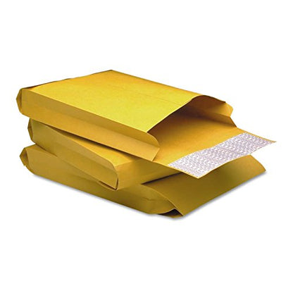 Quality Park Expansion Envelopes, Redi-Strip, Brown Kraft, 9 x 12 x 2, 25 per Pack, (93334)