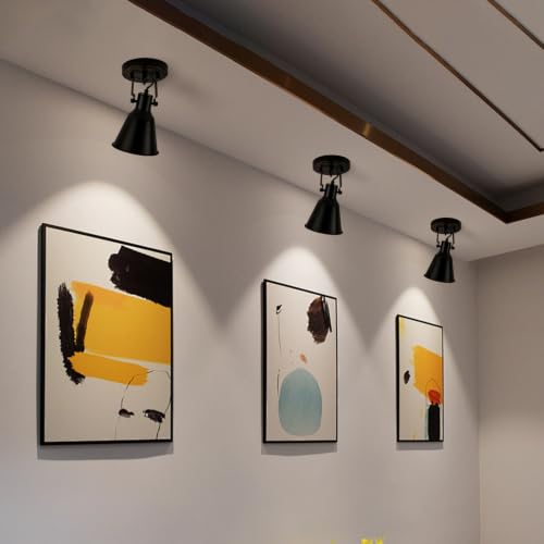 DIRYZON Flush Mount Ceiling Light Fixture Adjustable Track Light Set of 2 - color: Black, size: 2-light