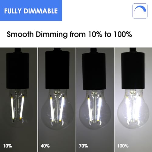 Energetic A19 LED Edison Light Bulb, E26 Dimmable, 60W Equivalent, 12 Pack - size: 12 Count(Pack of 1)