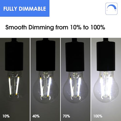 Energetic A19 LED Edison Light Bulb, E26 Dimmable, 60W Equivalent, 12 Pack - size: 12 Count(Pack of 1)