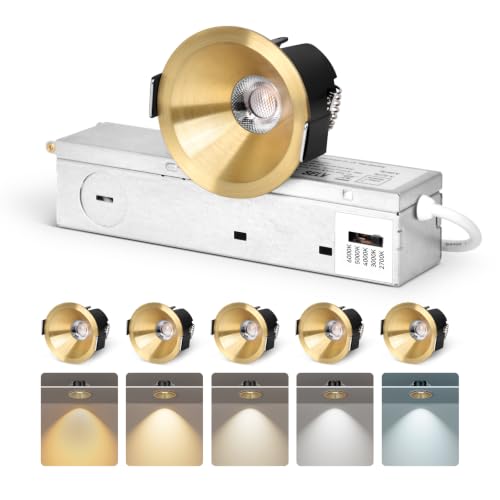 CycevSun 2 Inch Anti-Glare Gold Recessed LED Lights COB Spotlight, 6-Pack - color: Gold, size: 2 Inch