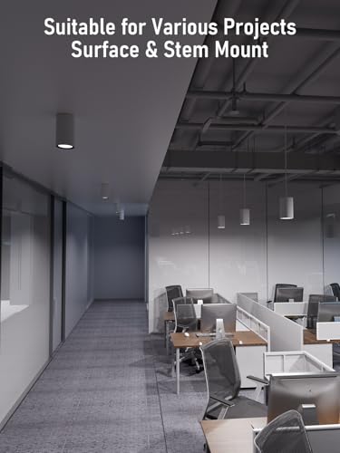 LEONLITE 2-Pack 5CCT 6 Inch LED Tube Architectural Pendant Downlight, White - color: White