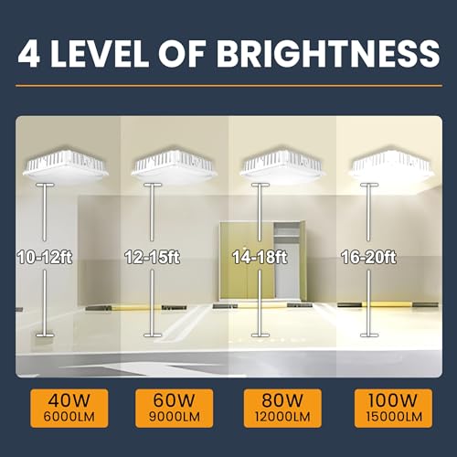 100W LED Canopy Light, 40W/60W/80W/100W Selectable 5000K 150LM/W ETL Listed