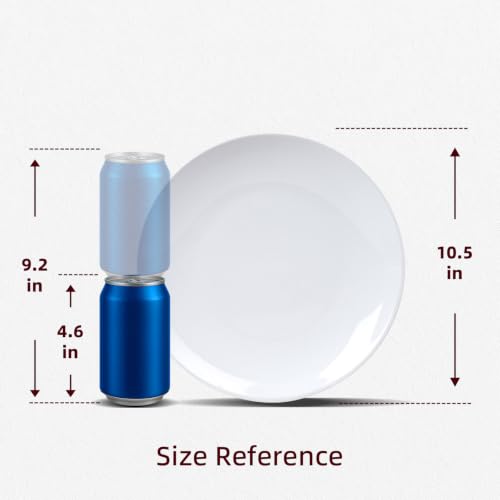 Restaurant Value, Stoneware Coupe Shape Plate 10.5", Bright White, Case of 12 - color: Bright White, size: Plate 10.5"