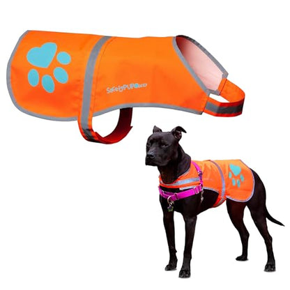 Blaze Orange Dog Vest. Reflective High Visibility in Hunting & Wooded Areas - size: Medium