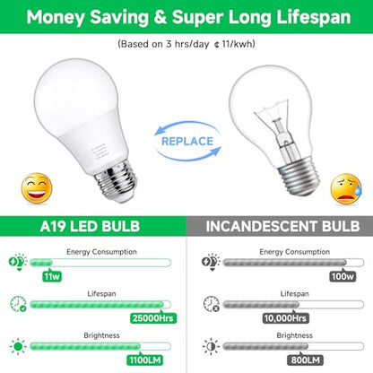 MAXvolador 12-Pack A19 LED Light Bulbs, 100 Watt Equivalent LED Bulb, 6500K Cool Daylight White, 1100 Lumens, E26 Medium Base, CRI 85+, Non-Dimmable - color: Cool Daylight White