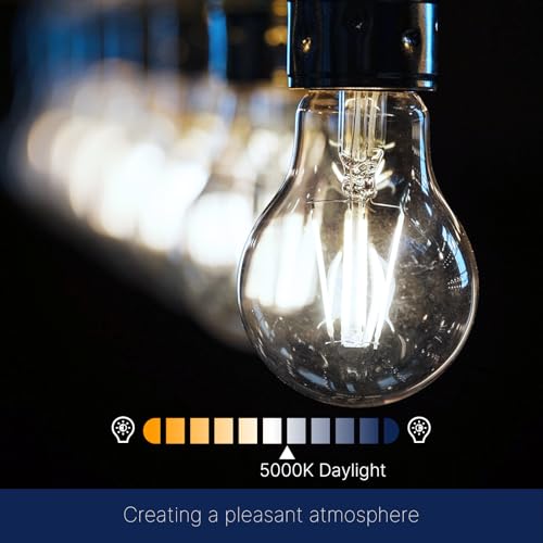 FLSNT 60W Equivalent Dimmable A19 LED Light Bulbs, Efficient 7W, 800Lumens, 5000K Daylight, CRI82, E26 Standard Base, 15000 Hours, LED Filament Light Bulbs, Clear Glass, 4 Pack - color: 60w Daylight, size: 4 Count (Pack of 1)