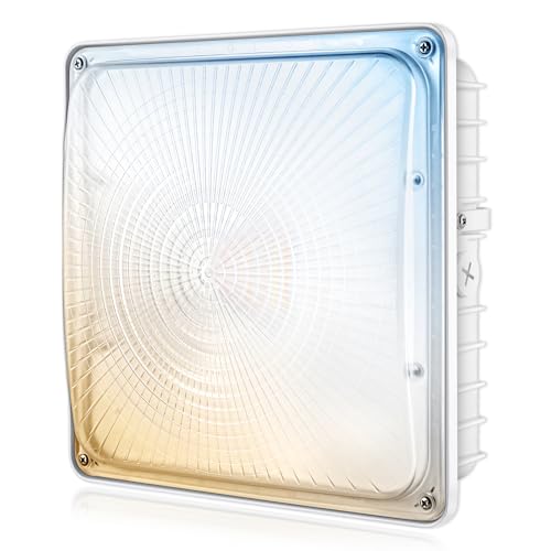 100W LED Canopy Light, 40W/60W/80W/100W Selectable 5000K 150LM/W ETL Listed