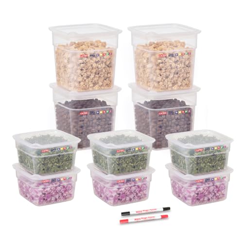 10-Pack Mini Food Storage Containers with Sealing Lids, Small Built-in Label Area Translucent Container Set, Commercial Grade, BPA-Free, Microwave Safe, 6 x 20 oz & 4 x 36 oz, 2 Markers Included