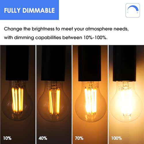 Energetic Dimmable A19 LED Edison Light Bulb, 12W Equivalent 100W, 1600LM High Brightness, 2700K Soft White, Clear Antique LED Filament Bulb for Home, Bathroom, E26 Standard Base, 6-Pack - size: 6 Count ( Pack of 1)