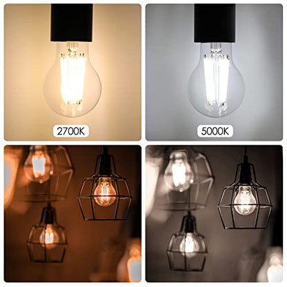 Energetic Dimmable A19 LED Edison Light Bulb, 12W Equivalent 100W, 1600LM High Brightness, 2700K Soft White, Clear Antique LED Filament Bulb for Home, Bathroom, E26 Standard Base, 6-Pack - size: 6 Count ( Pack of 1)