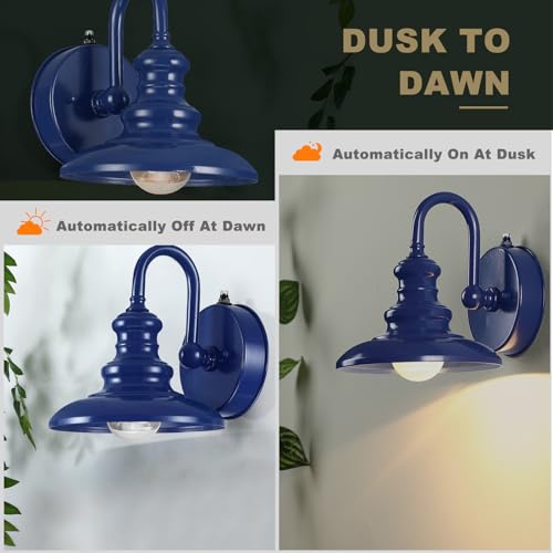 LONEDRUID Dusk to Dawn Sensor Outdoor Gooseneck Barn Light Fixtures Blue - color: Blue