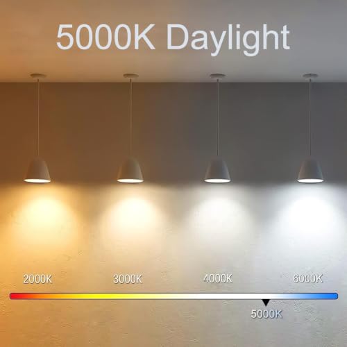 5 Inch Edison Bulb, 5000K Daylight White E26 Led Bulb 6W Dimmable, 800LM T10 T9 Bulb Clear Glass Tubular Light Bulbs, AC 120V Equal 80 Watt Bulbs for Chandelier Pendant Wall Light - 9Pack - size: 5 Inch 6W (9 Count)