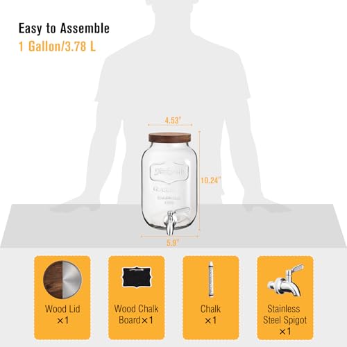 Mustry 1 Gallon Glass Drink Dispenser for Parties, Leak-Proof Spigot - size: Single
