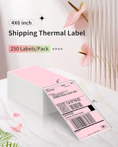 JADENS 4X6 Thermal Direct Shipping Label Compatible with JADENS MUNBYN, IDPRT, Rollo, Postage Label Paper for Small Businesses, 250 Labels/Pack, Pink - color: Pink