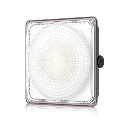 LED Canopy Lights 100W: 100/80/60W Selectable with Motion Sensor - size: 100WMotion Senosr-1P