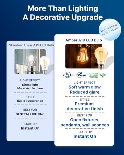 FLSNT 60W Equivalent Dimmable A19 LED Light Bulbs, 2200K Warm White, 4 Pack - color: Amber 2200k Warm White, size: 4 Count (Pack of 1)
