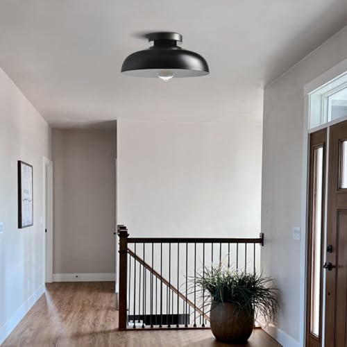 DIRYZON Flush Mount Ceiling Light, 12-Inch Industrial Black Ceiling Light - color: Black