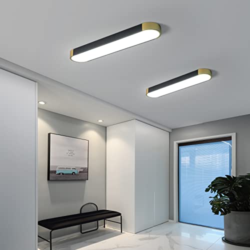 Tioolo Modern Ceiling Light, Dimmable LED Ceiling Light with Remote, 27.5in - color: Black+Gold/36W, Painted
