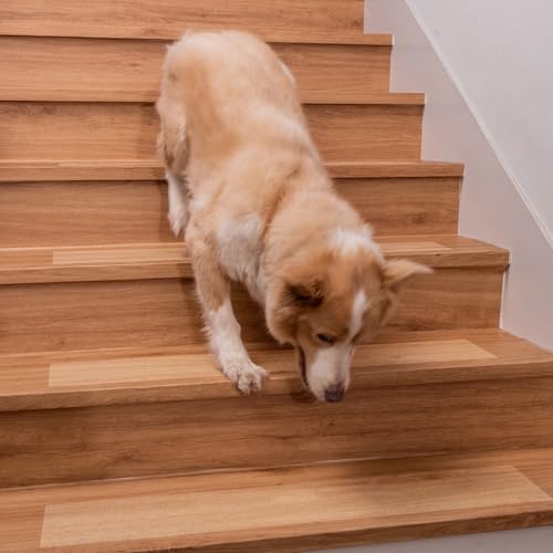 Spurtar Non Slip Staircase Step Treads, 6"x24" 15 Pack Anti Slip Tape for Stairs Indoor, Transparent Grip Tape for Stairs, Clear Skid Guard Safety Stair Runners for Wooden Steps - size: 6"x24"