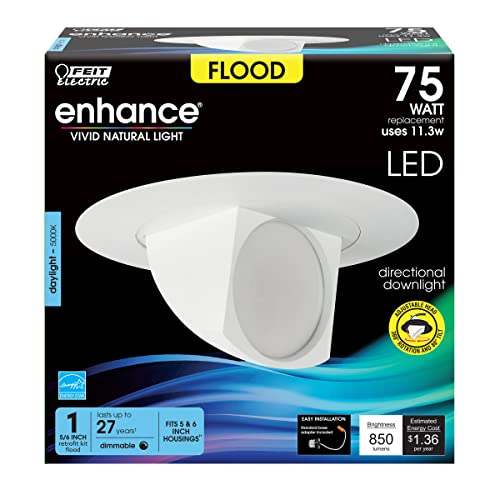 Feit Electric 5/6 Inch LED Directional Downlight, 75W Eq, Daylight - color: Daylight White, size: 5-6 Inch (Pack of 1)