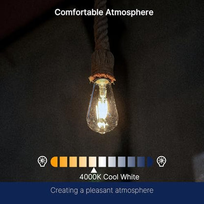 FLSNT 7W LED Edison Bulbs, 60W Equivalent, 90+ High CRI, 4000K Cool White, ST19 LED Light Bulbs, 800LM, E26 Base, Dimmable, 6 Pack - color: 60w 4000k Cool White, size: 6 Count (Pack of 1)