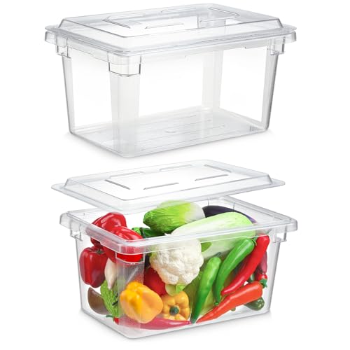 2 Pack 5 Gallon Polycarbonate Food Storage Containers with Lids - size: 5 Gallon