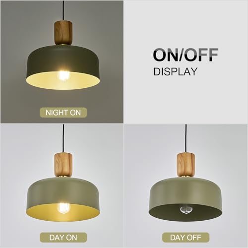 TeHenoo Contemporary Pendant Lighting, 12 inch, Green - color: Deep Green