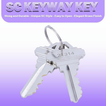 2Pcs Brass Mortise Door Cylinder Locks Keyed Alike with 4 SC Keyway Keys - size: 1 1/4 inch