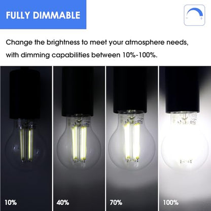 Energetic Dimmable A19 LED Edison Light Bulb, 12W Equivalent 100W, 1600LM High Brightness, 5000K Daylight, Clear Antique LED Filament Bulb for Home, Bathroom, E26 Standard Base, 4-Pack - size: 4 Count ( Pack of 1)