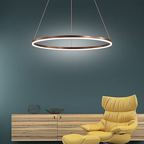 LightInTheBox Modern LED Ring Chandelier, 31.5" Halo Pendant Light Fixture Circle Minimalist Dimmable Hanging Light Metal Acrylic for Living Room Dinning Room Bedroom (Coffee) - color: Coffee-Dimmable, size: 80cm