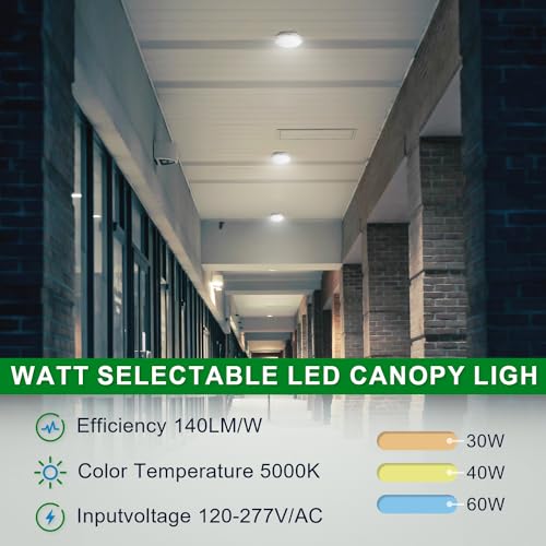 OSTEK LED Garage Ceiling Light 30W/40W/60W Carport Canopy Lighting Fixture - size: 1 PACK