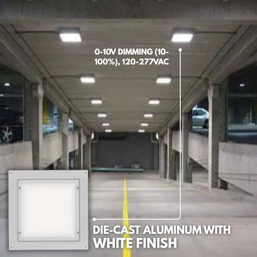 Espen Zenon LED Canopy Light 13W/16W/20W Selectable, 1560–2400LM, 3000K/4000K/5000K, White Outdoor Garage Ceiling Light, 120-277V, 0-10V Dimmable, Damp Rated
