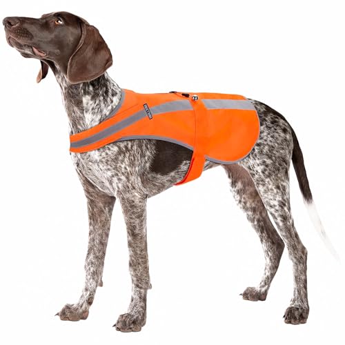 Reflective Dog Vest for Medium Large Breeds, High Visibility Dog Safety Vest with Removable Bell Keep Safe from Hunting, Training & Cars Accidents - color: Blaze Orange, size: L