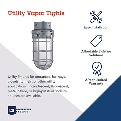 Lithonia Lighting Incandescent Vapor Tight Jelly Jar Light 150W 120V Grey - size: 150W Max, style: Ceiling Mount
