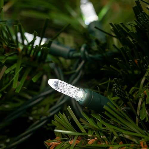 Novelty Lights 25FT 50 LED M5 Christmas String Lights, Pure White - color: Pure White