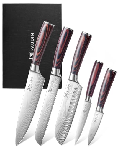 PAUDIN 5-Piece Chef Knife Set, Ultra Sharp Kitchen Knives