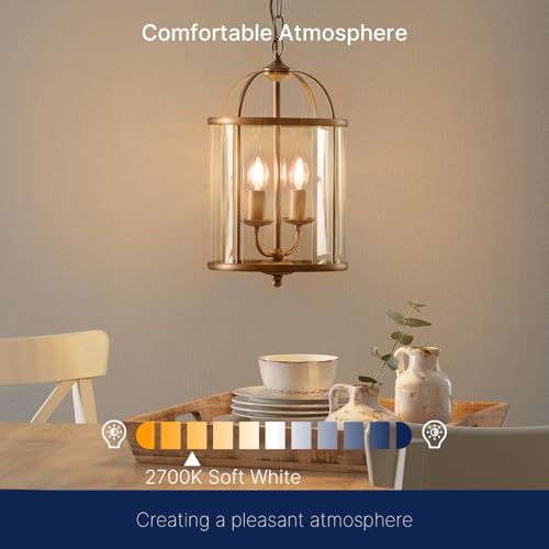 FLSNT LED Candelabra Light Bulbs E26 Base, 60 Watts Equivalent Dimmable LED Chandelier Light Bulbs, 2700K Soft White, 24 Pack - color: 60w Soft White, size: 24 Count (Pack of 1)