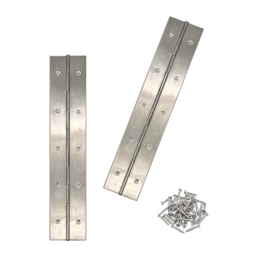 10-Inch 2-Pack Silver Heavy Duty Stainless Steel Piano Hinge, Long Hinge， - size: 10inch(Silver)2Pcs