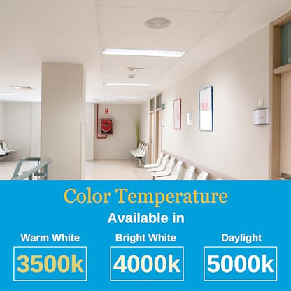 Premium 2x4 Backlit LED Flat Panel Light, 4 Pack, 50W, 5000K