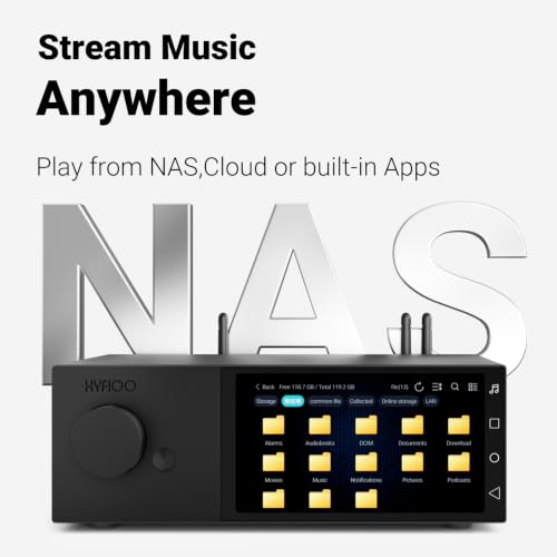 DM100 Music Streamer Android 14 System 5.5" LCD Touchscreen, 8+64GB